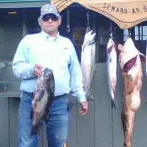 Meet your Posher, Alan